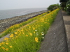img0024.jpg