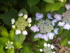 img0027.jpg