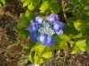 img0030.jpg