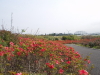 img0031.jpg