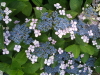 img0032.jpg