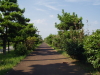 img0040.jpg