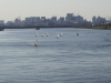 img0043.jpg