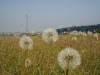img0053.jpg