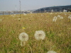 img0054.jpg