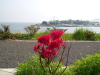 img0055.jpg