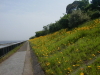 img0059.jpg