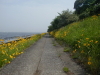 img0060.jpg