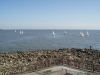 img0061.jpg