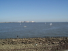 img0062.jpg
