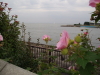 img0065.jpg