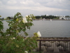 img0066.jpg