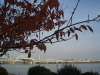 img0069.jpg
