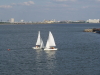 img0083.jpg