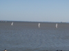 img0089.jpg