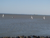 img0090.jpg