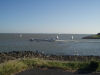 img0091.jpg