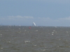 img0096.jpg
