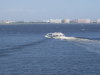 img0102.jpg
