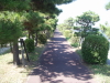 img0103.jpg