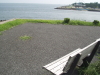 img0107.jpg