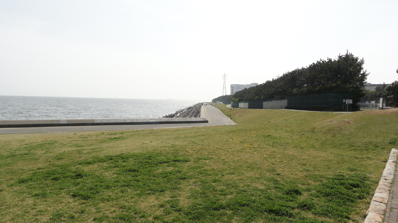 img0005.jpg