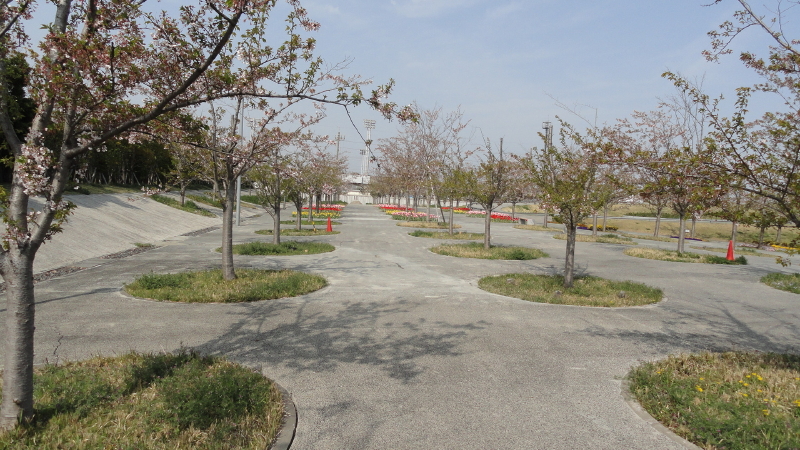 img0011.jpg