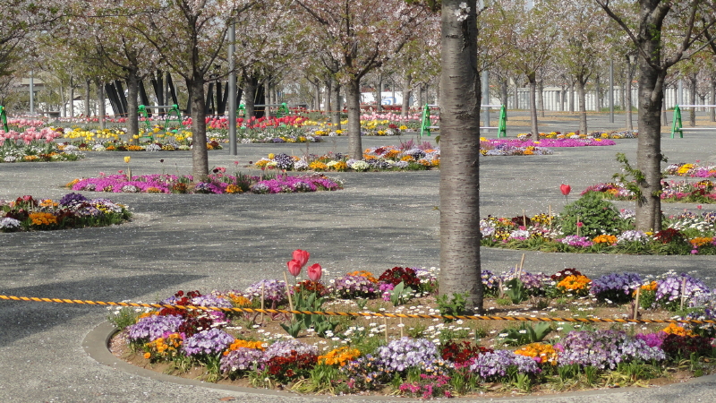 img0013.jpg
