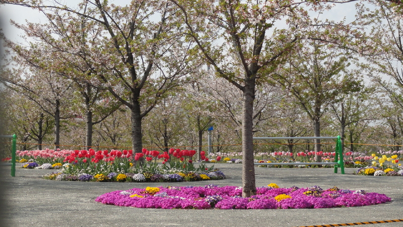 img0015.jpg