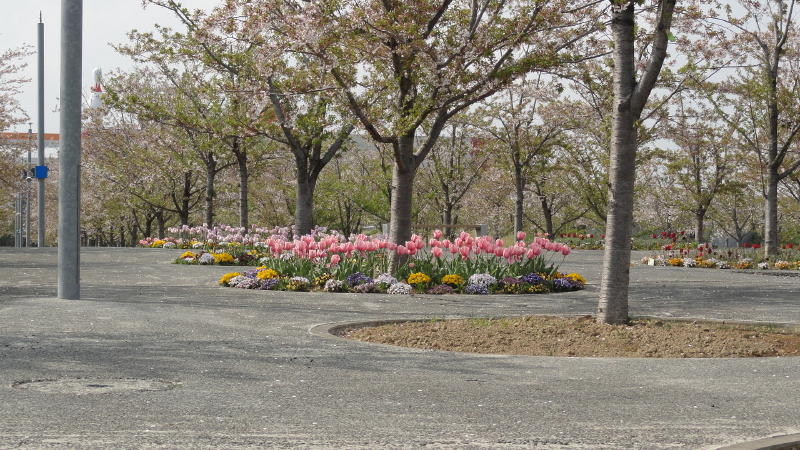 img0016.jpg