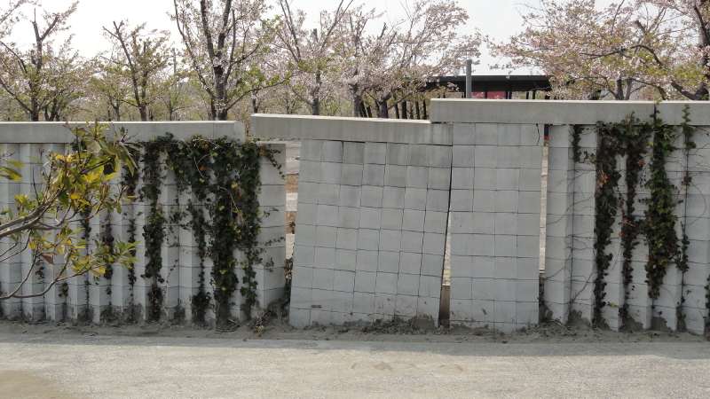 img0017.jpg