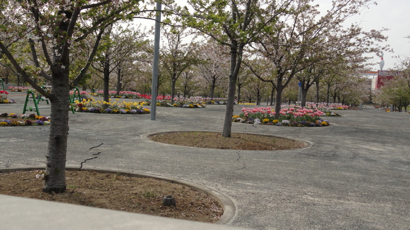 img0022.jpg