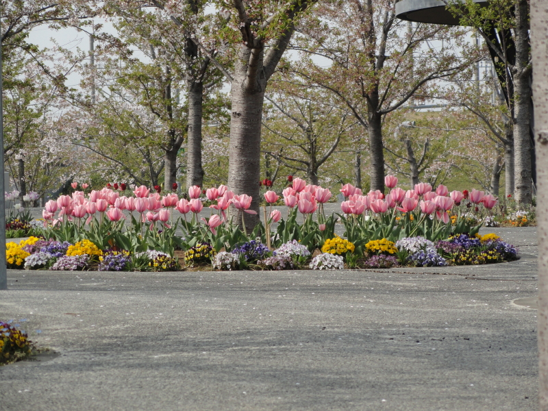 img0024.jpg