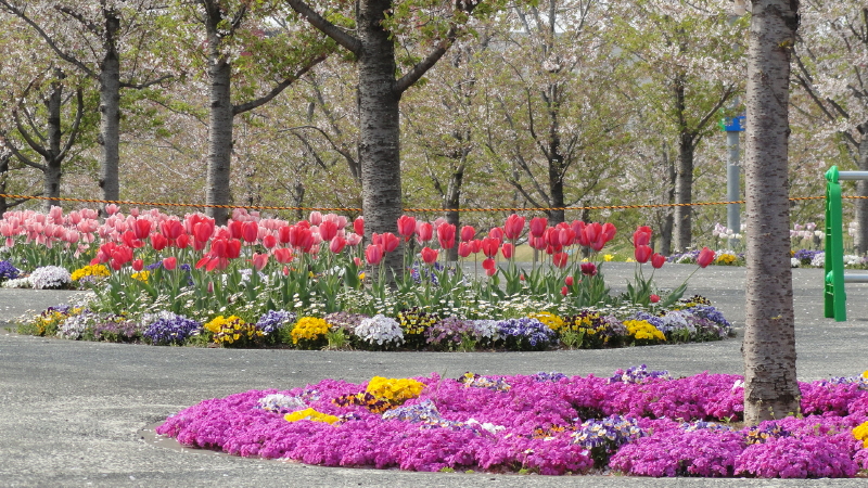 img0025.jpg