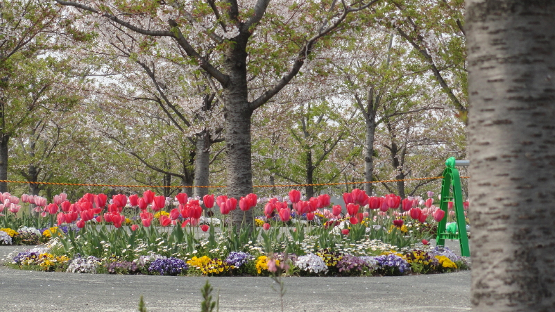 img0026.jpg