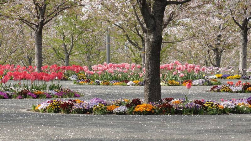 img0027.jpg