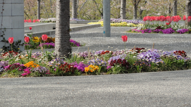 img0028.jpg
