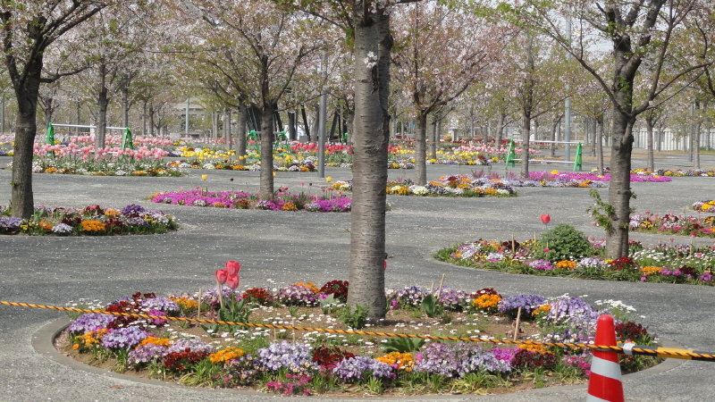 img0030.jpg