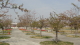 img0009.jpg