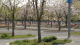img0019.jpg