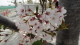 img0021.jpg