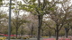 img0023.jpg