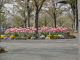 img0024.jpg