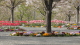img0027.jpg