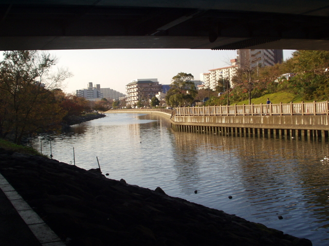 img0000.jpg