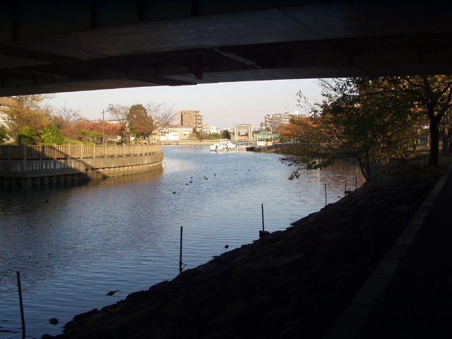 img0001.jpg