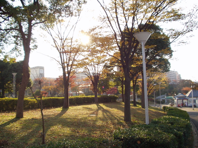 img0002.jpg