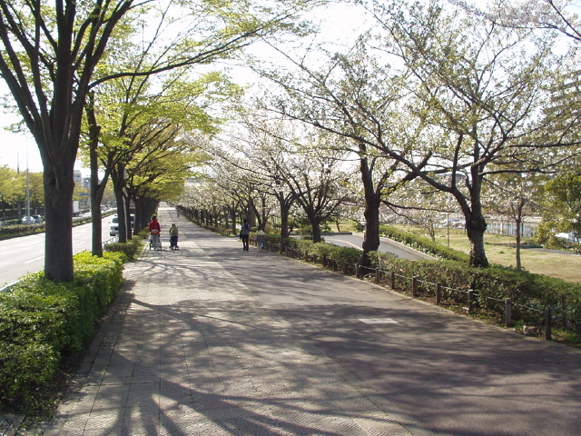 img0003.jpg