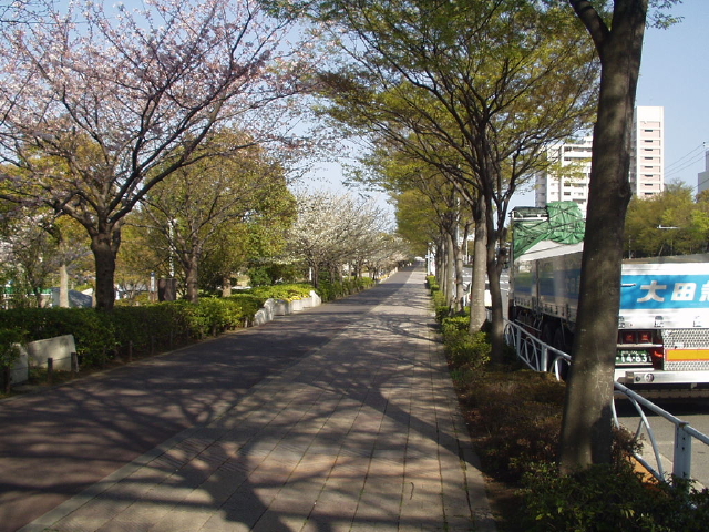 img0004.jpg