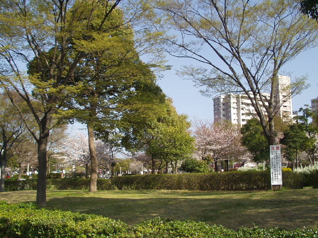 img0006.jpg